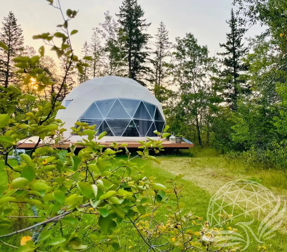 Dome camping best sale