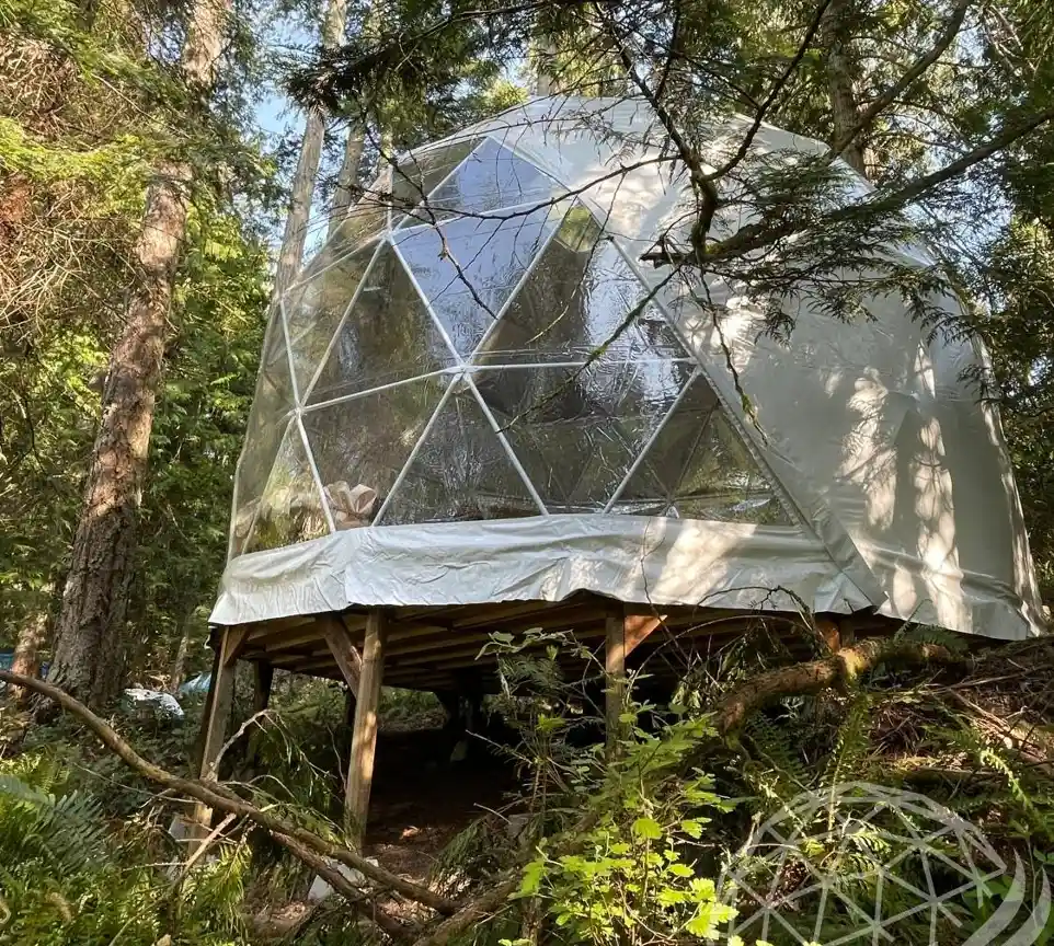 Phoenix Dome Extended Height Domes