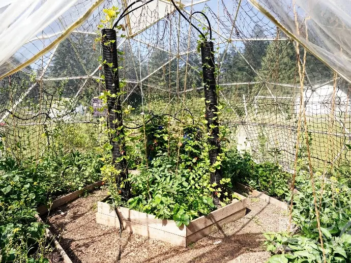 Greenhouse Dome