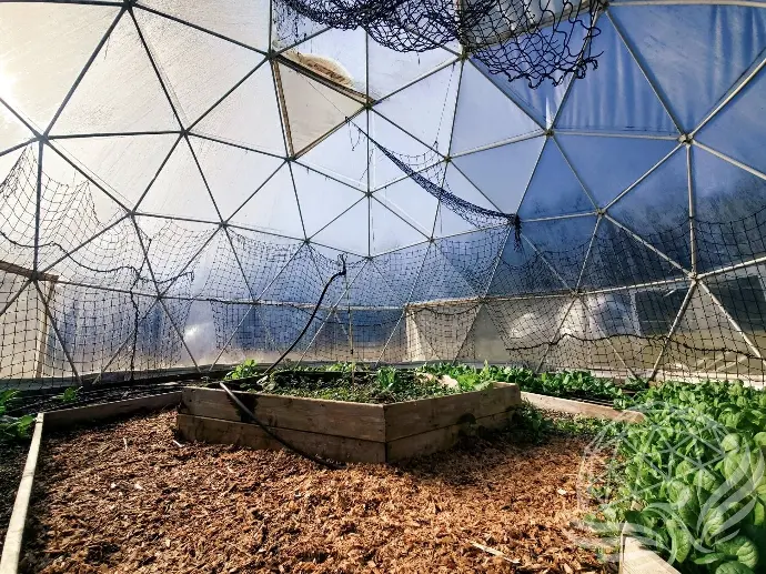 Greenhouse Dome