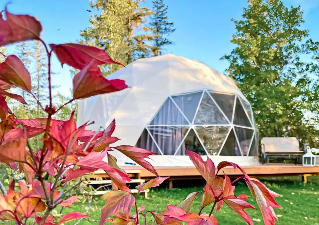 20ft / 6m Domes