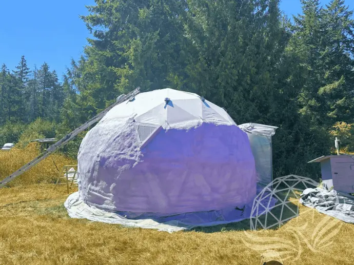 Dome Exterior with Spray Foam Application | Phoenix Domes Geodesic dome covered with white spray foam insulation in progress, set in a forested outdoor environment.
