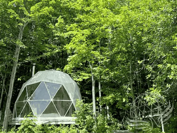 White geodesic dome nestled in the forest