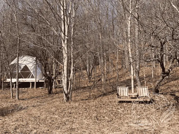 a white geodesic domein the woods