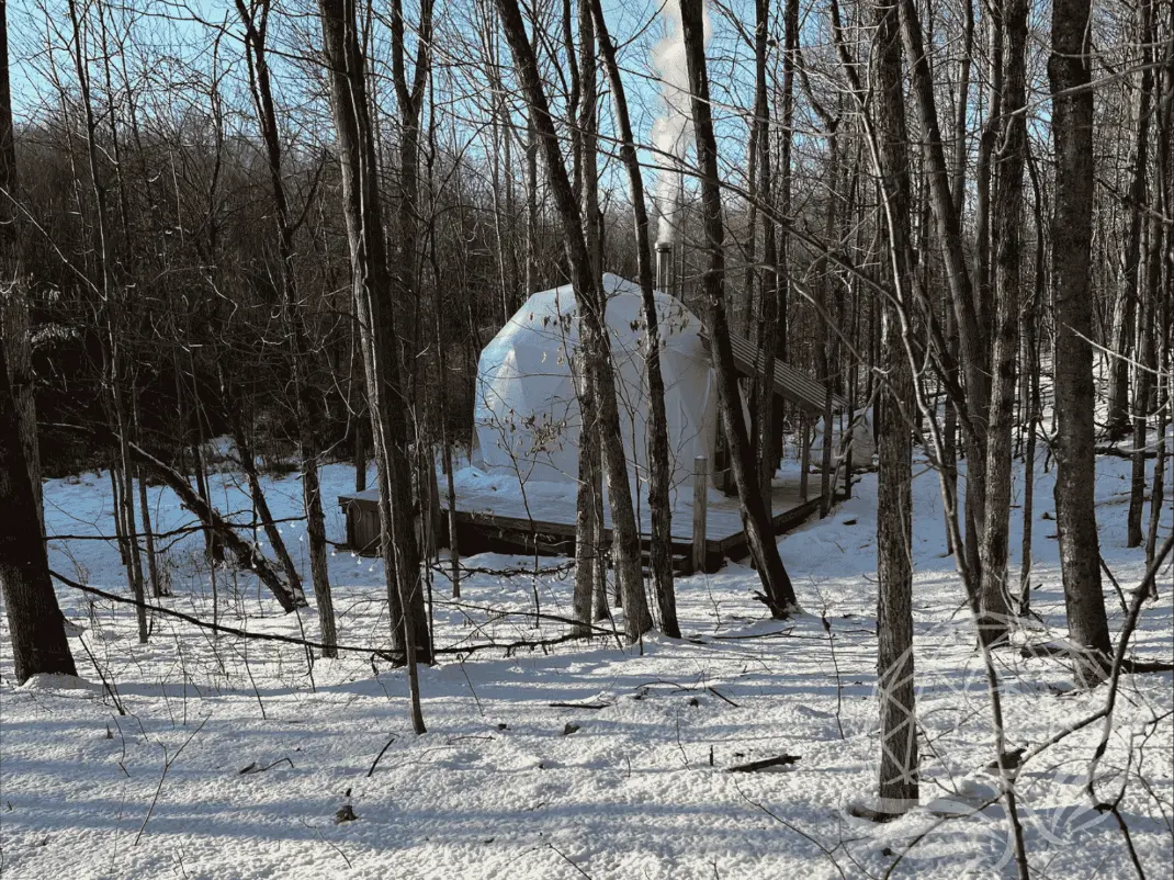 a white geodesic dome during winter in the woods