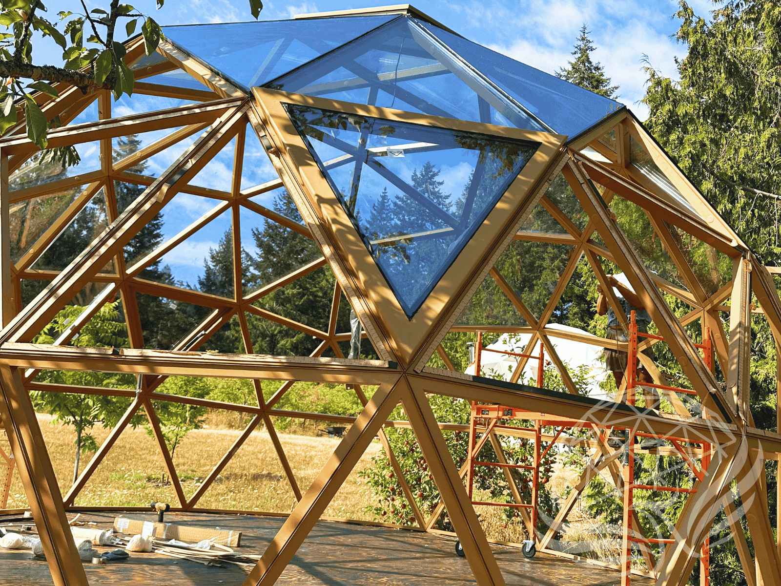 Wooden geodesic dome frame under construction with large triangular glass panels, set in a sunny forest clearing.