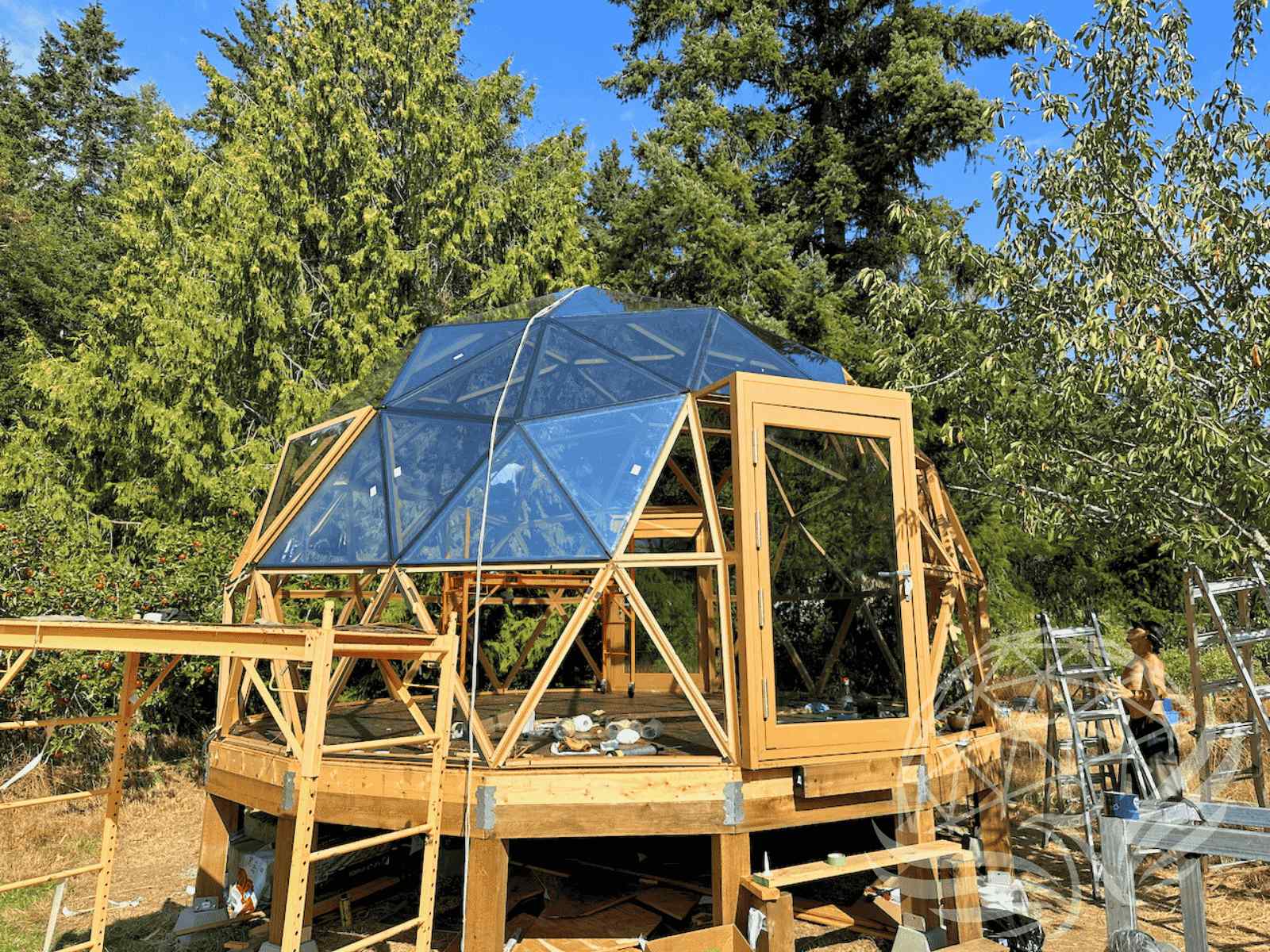 Interior view of a glass geodesic dome with polished burnt-wood flooring and forest trees visible through triangular window panels.