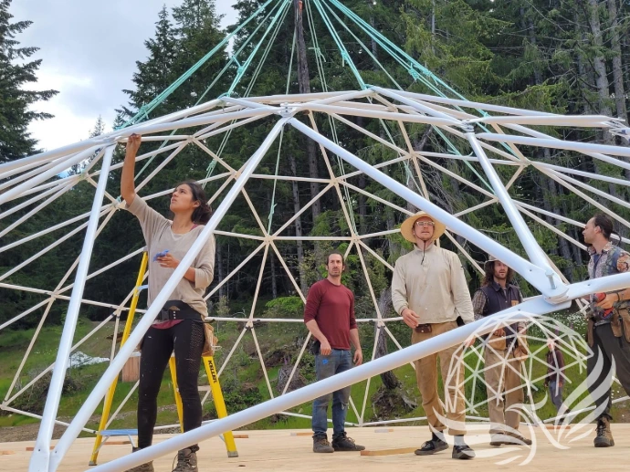 Geodesic dome frame strut