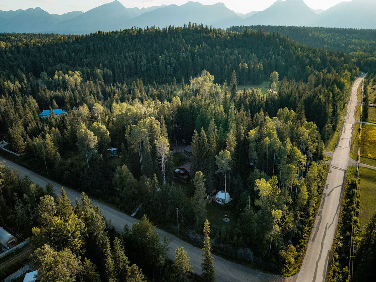 Dome in the middle of the woods