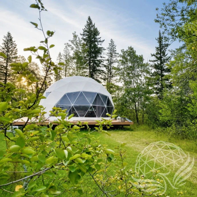 Forest glamping dome in golden-hour light