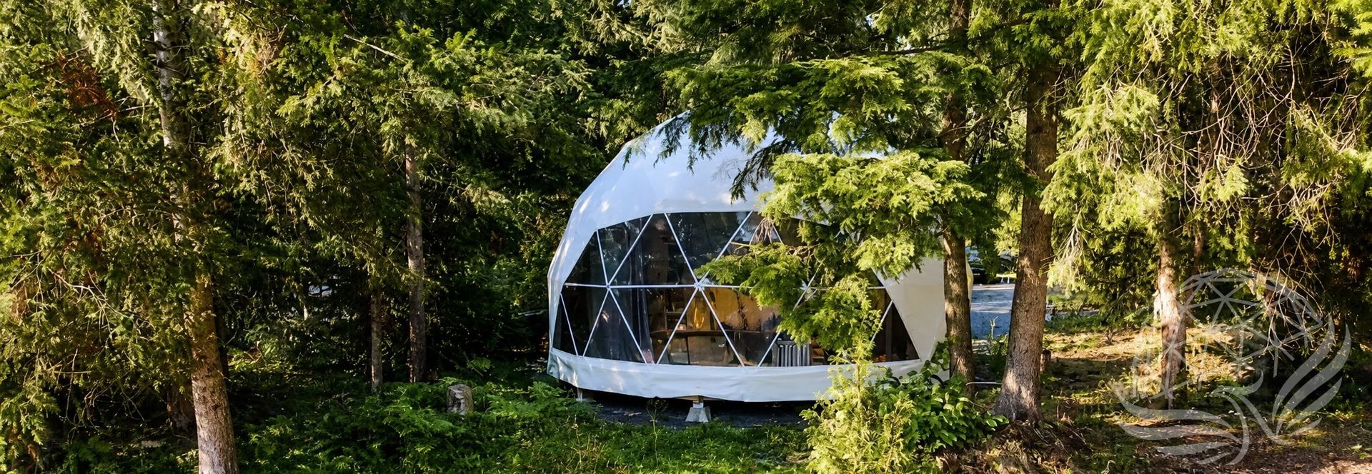 Geodesic Dome in the Evergreen Forest