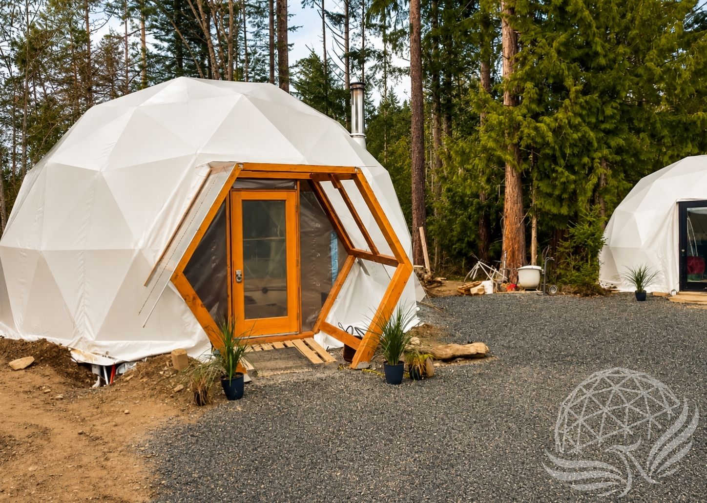 Geodesic Domes in a Pine Forest