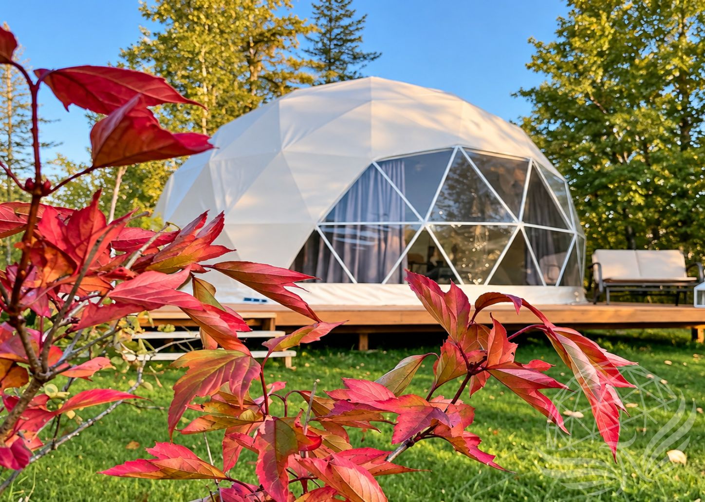 Why Phoenix Domes