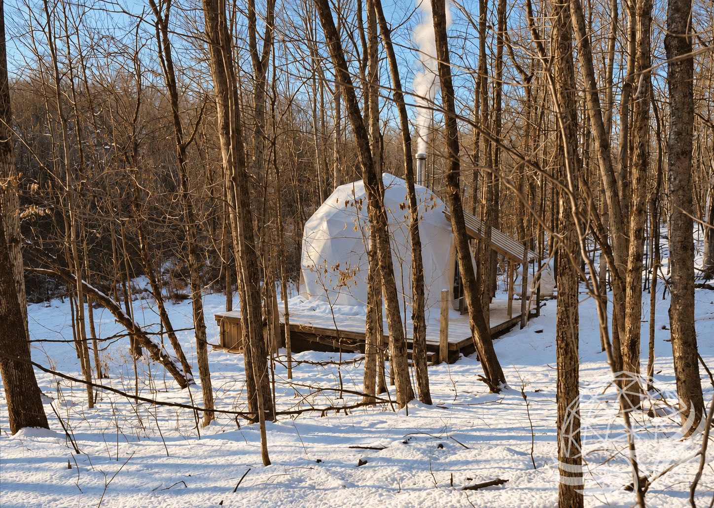 a white geodesic dome during winter in the woods