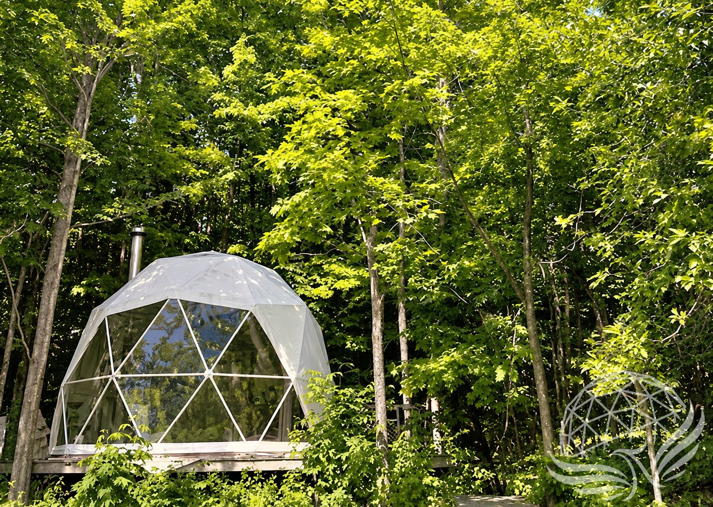 White geodesic dome nestled in the forest