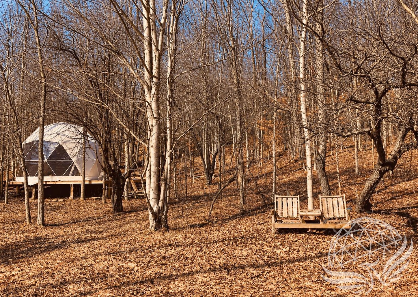 a white geodesic domein the woods