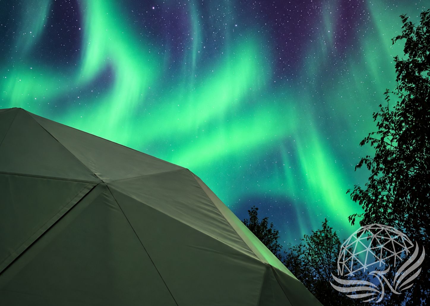 Ravens Hollow Eco Dome Resort Success Story
