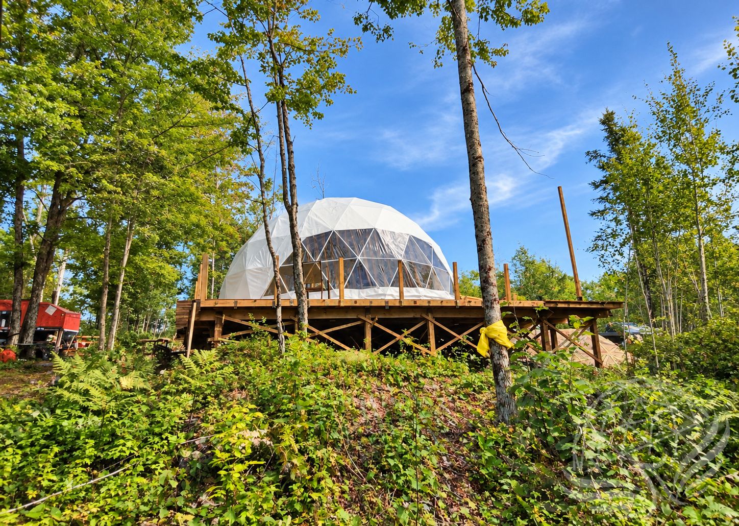 White Phoenix Dome in the middle of the woods