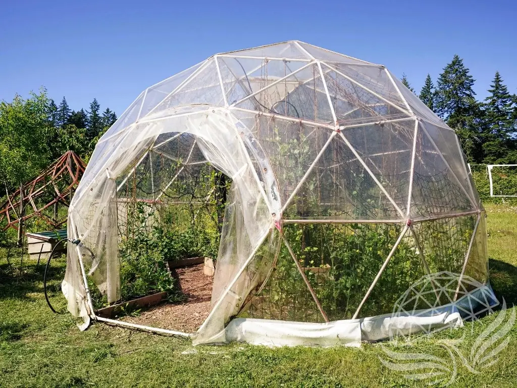 Clear PVC Domes