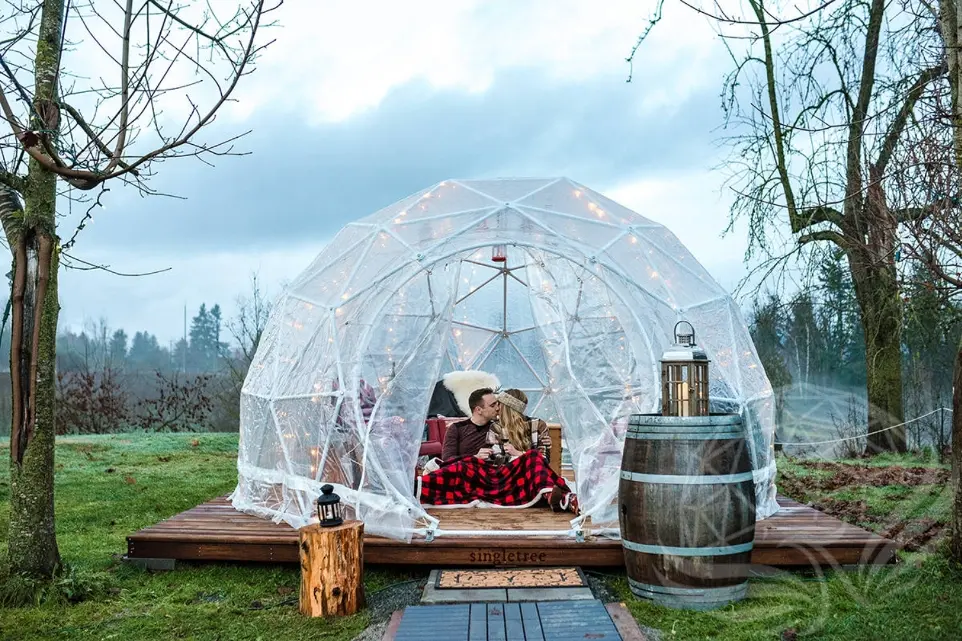 Clear PVC Domes